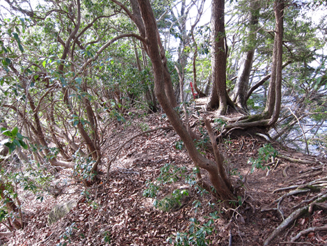 20200204hike (276)